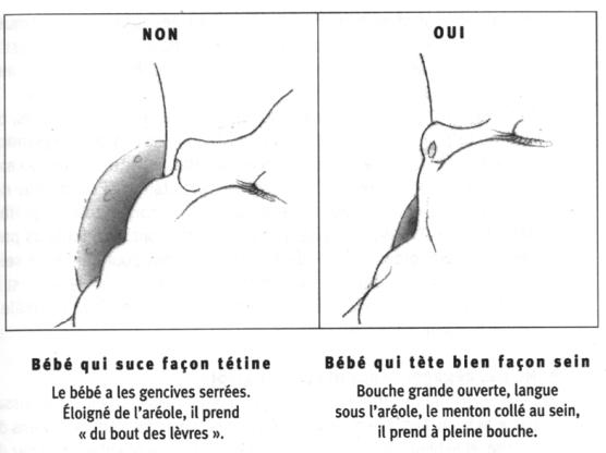 Quelle position pour bébé au sein ?